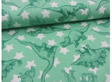 Jersey - Dinosaurier Dinos und Sterne hellgrün